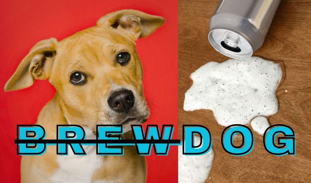 WEU-brew-dog-closed-beer-7ba638da BrewDog: When the &ldquo;Punk&rdquo; Dream Collapses Workers Pay the Price