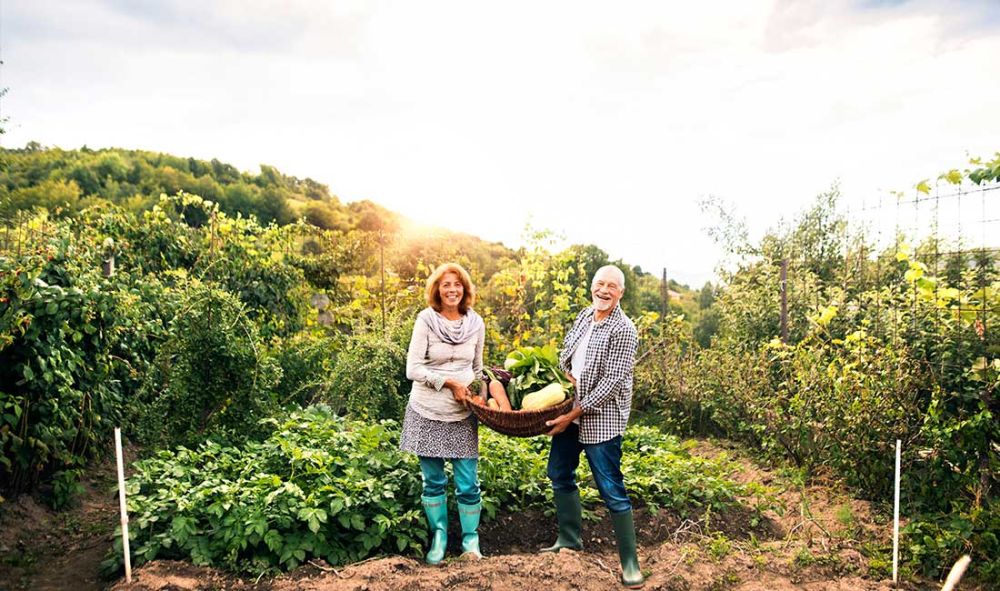 Can England Feed Itself Part 1