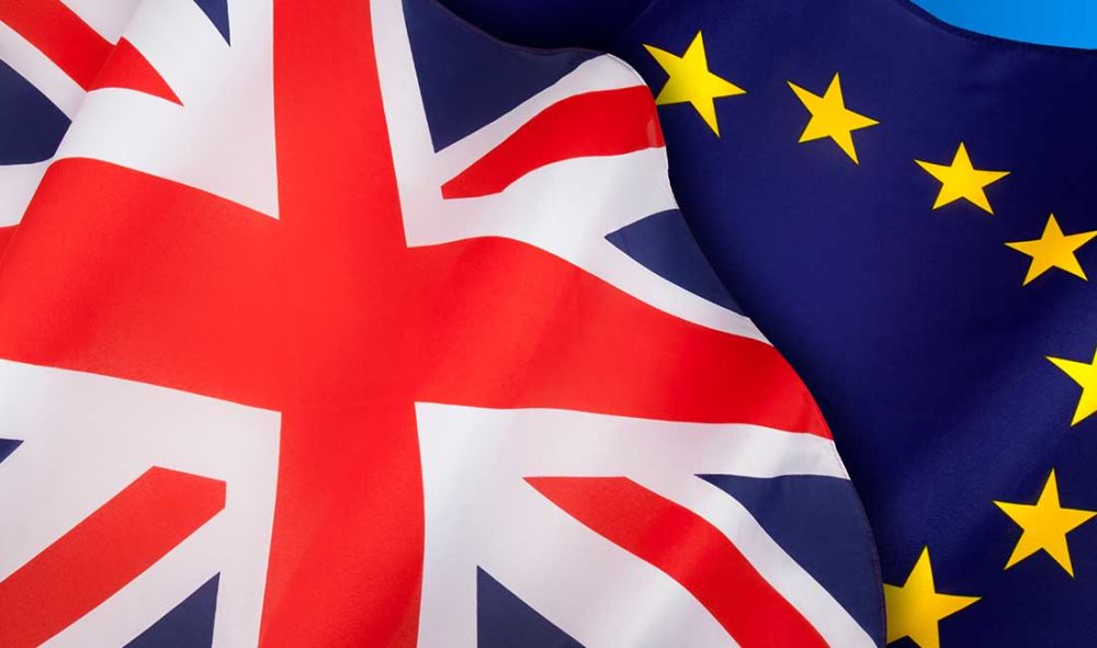 Pro EU MPs May Ignore Referendum Result